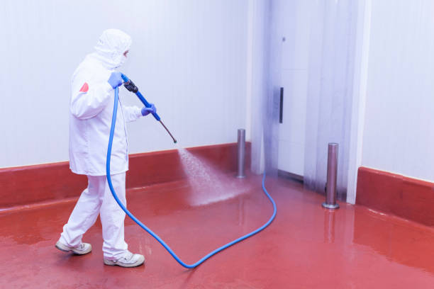 Paint Preparation in St Louis, MI