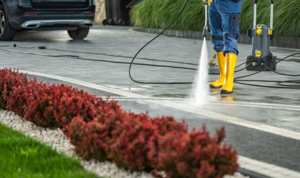 Best Pool Deck Cleaning  in St Louis, MI