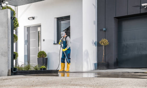 Best Factory Floor Cleaning  in St Louis, MI
